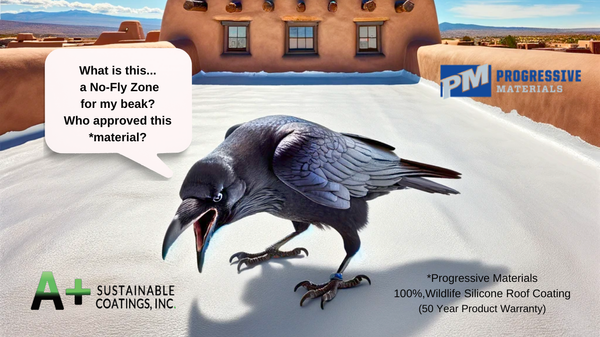 Feather-Proof Fortresses: How Silicone Roofing is Winning the War Against Raven Damage