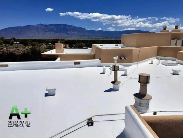 Future-Proof Your Roof: The Smart Choice of Silicone for Seasonal Maintenance